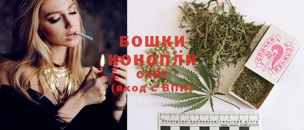 PSILOCYBIN Абдулино