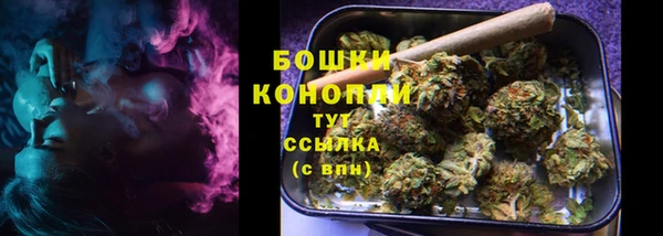 PSILOCYBIN Абдулино