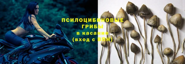 PSILOCYBIN Абдулино