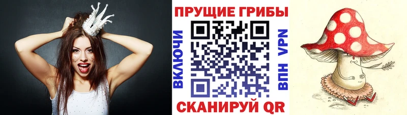 Галлюциногенные грибы мицелий  Берёзовка 