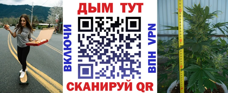 купить закладку  Берёзовка  Бошки Шишки план 